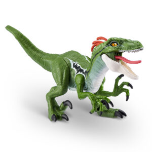 Raptor